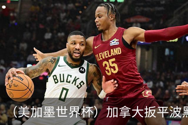 （美加墨世界杯）加拿大扳平波黑 获队史世界杯首分